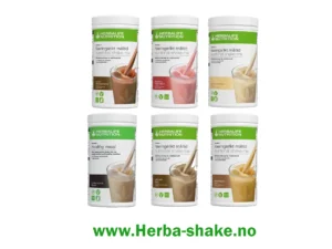 Herbalife shake 6 pack