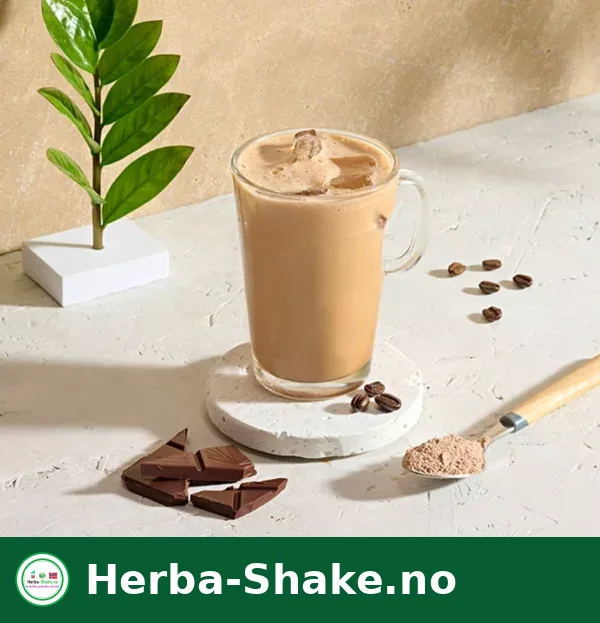 Herbalife Protein Iskaffe Mocha
